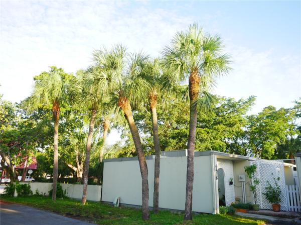 Lake Katharine, 6418 E Miami Lakes Dr E #6418, Miami Lakes, Florida 33014, image 1