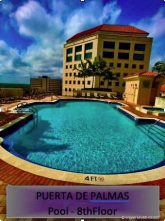 Puerta De Palmas, 888 S Douglas Rd #205, Coral Gables, Florida 33134, image 2