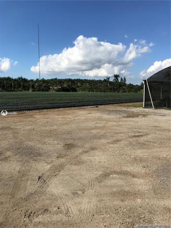 Chateau Artisan, 252 Street SW 25200th Sw 162nd Ave, Redland, Florida 33031, image 2