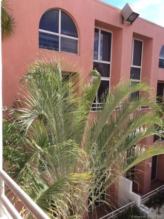 Grove Square, 2801 Florida Ave #409, Miami, Florida 33133, image 2