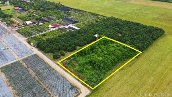 Redland No HOA, 17500 SW 244th, Redland, Florida 33031, image 2