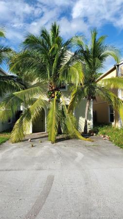 Kenwood, 4333 Springfield St, Lake Worth Beach, Florida 33461, image 2