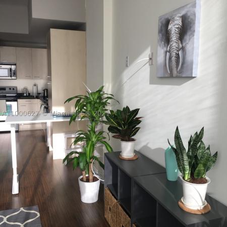 Highland Park Lofts, 1350 NW 8th Ct #A-5, Miami, Florida 33136, image 1