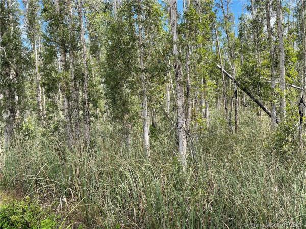SW 36TH, Unincorporated Dade County, Florida 33185, image 2