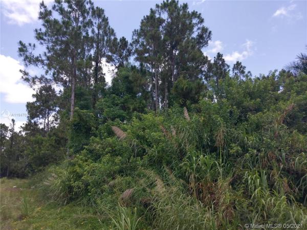Redland No HOA, Redland, Florida 33034, image 2