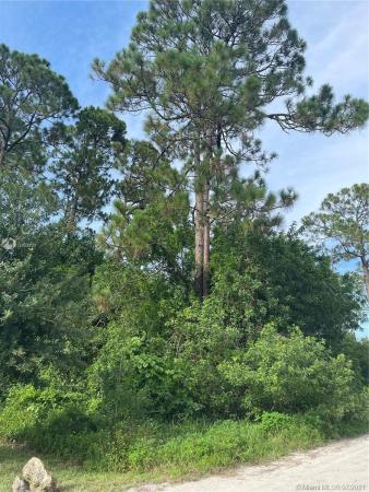 Loxahatchee Groves Residential, 15449 Los Angeles Dr, Loxahatchee, Florida 33470, image 2
