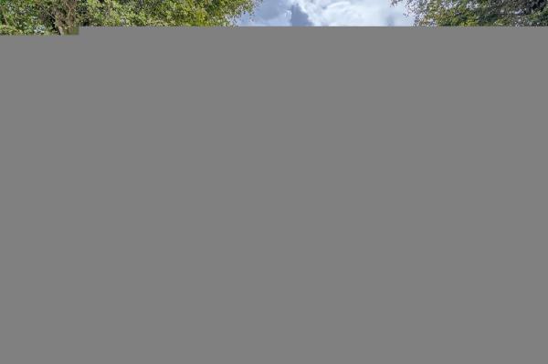 Winston Park, 13014 SW 74th, Kendale Lakes, Florida 33183, image 2