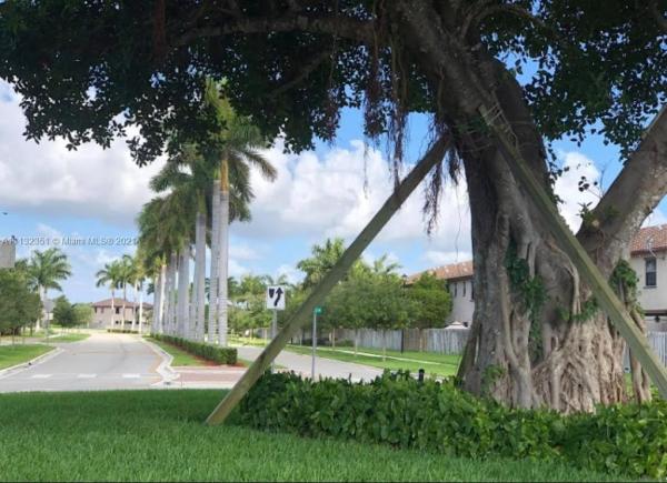 Artesa At Coco Palm Estates, 11587 SW 248th Ln 0, Princeton, Florida 33032, image 2