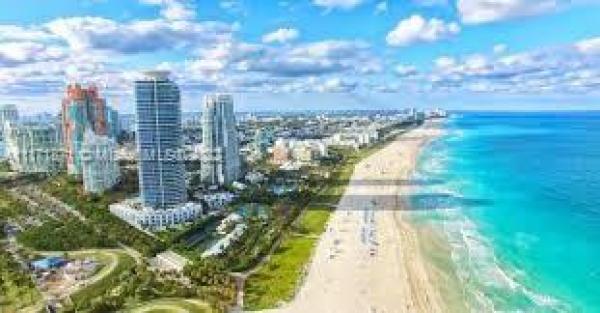 Ocean Walk On South Beach, 335 Ocean Dr #229, Miami Beach, Florida 33139, image 2
