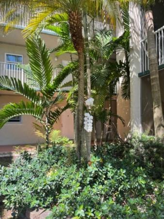 The Cove, 21121 SW 85th Ave #312, Cutler Bay, Florida 33189, image 1