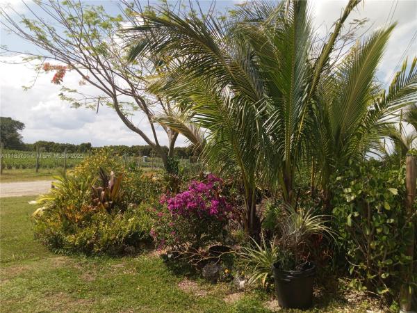 Redland No HOA, 197xx SW 332nd St, Redland, Florida 33034, image 2