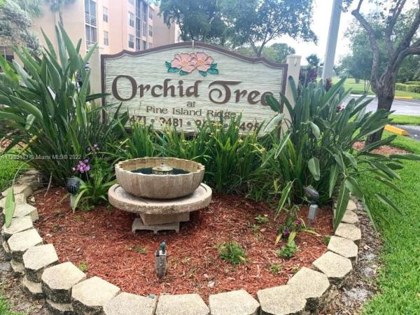 Orchid Tree Of Pine Island Ridge, 9471 Evergreen Pl #204, Davie, Florida 33324, image 1