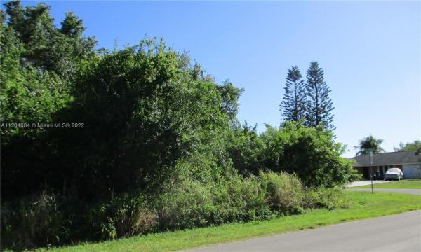 379 NW Aurora St, Florida 34983, image 1