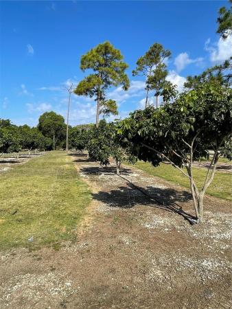 Redland No HOA, SW 192 Ave Sw 344th St, Redland, Florida 33034, image 1