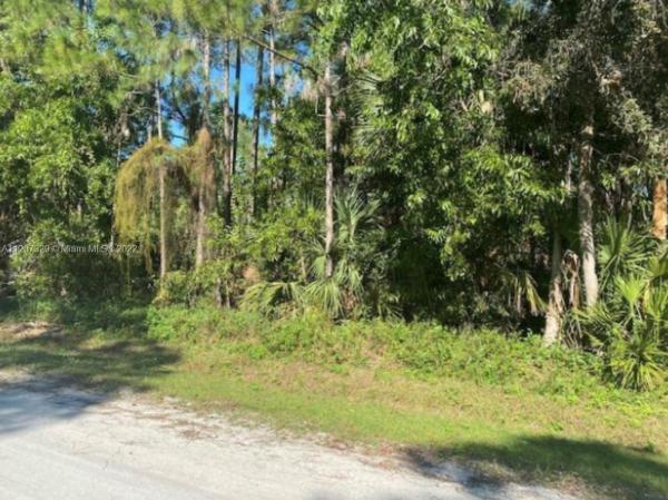 The Acreage, 00000 82nd Lane N, Loxahatchee, Florida 33412, image 1