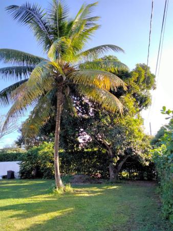 Suniland Manor, 13075 SW 82nd Ct, Pinecrest, Florida 33156, image 1