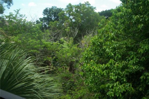 Cutler Creek Club, 20905 SW 103rd Pl #20905, Cutler Bay, Florida 33189, image 1