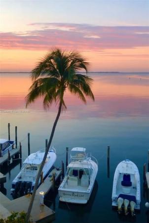 Pelican Reef, 1638 S Bayshore Ct #101, Miami, Florida 33133, image 1