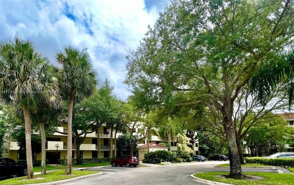 Applewood Village 4, 2907 S Carambola Cir S #503, Coconut Creek, Florida 33066, image 1