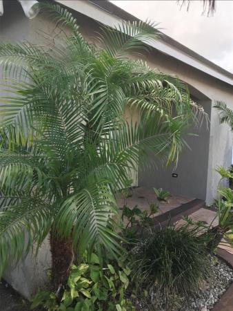 Leslie Estates, 20300 NW 27th Pl, Miami Gardens, Florida 33056, image 2
