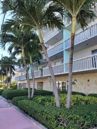 Carlyle Plaza, 7620 Carlyle Ave #307, Miami Beach, Florida 33141, image 1