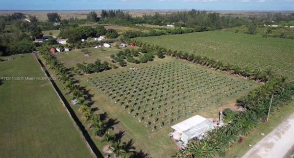 Redland No HOA, 14750 SW 205th Ave, Redland, Florida 33196, image 1