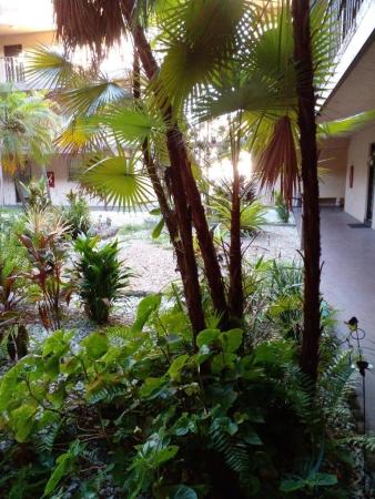 Somerset, 2850 Somerset Dr #102L, Lauderdale Lakes, Florida 33311, image 2