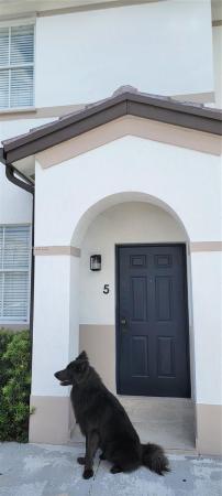 Shoma Homes Splendido, 8007 W 36th Ave #5, Hialeah, Florida 33018, image 1