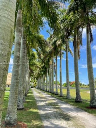 Redland No HOA, 14701 SW 199th Ave, Redland, Florida 33196, image 1