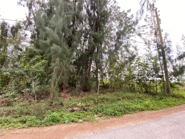 144xx SW 208th Ave, Redland, Florida 33196, image 1
