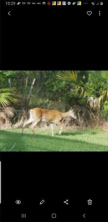 Little Club, 18081 SE Country Club Dr #78, Jupiter, Florida 33469, image 1