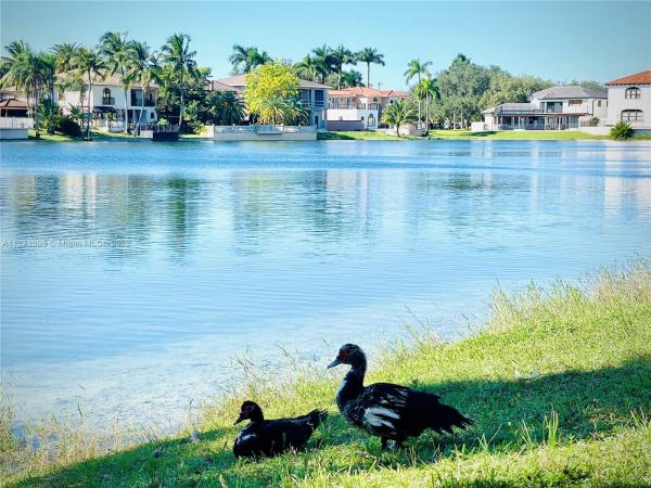 Royal Oaks, 8454 Nw 168th Ter, Miami Lakes, Florida 33016, image 2
