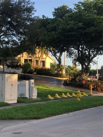Kings Creek, 8209 SW 81st Ct, Glenvar Heights, Florida 33143, image 1