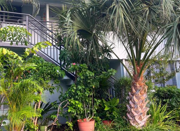 1060 Condo, 1080 98th St #9, Bay Harbor Islands, Florida 33154, image 1