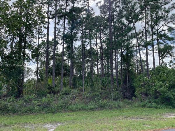 Hidden Oaks, 926 Eureka Ave, Port St. Lucie, Florida 34953, image 2