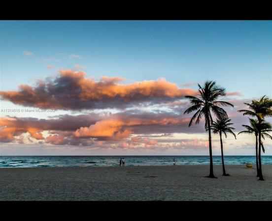 Foxglove, 1801 S Surf Rd #1F, Hollywood, Florida 33019, image 1