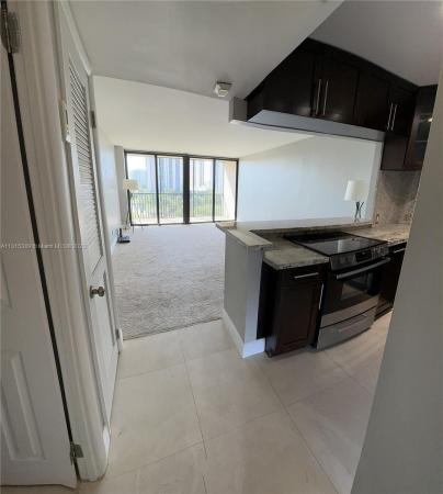 Bravura, 3301 N Country Club Dr #804, Aventura, Florida 33180, image 2
