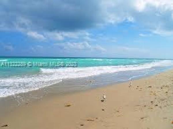 Star Paradise, 415 NE 2nd St #115, Hallandale Beach, Florida 33009, image 1