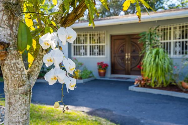 Merion Park Manor, 6904 SW 65th Ave, South Miami, Florida 33143, image 1