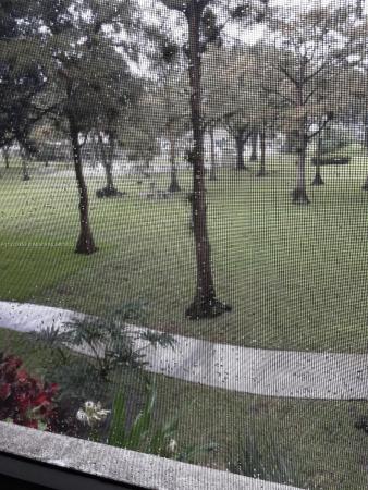 Cypress Chase, 2900 NW 48th Ter #214, Lauderdale Lakes, Florida 33313, image 1