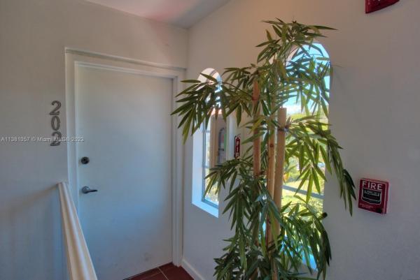 Eva, 1450 Meridian #202, Miami Beach, Florida 33139, image 1