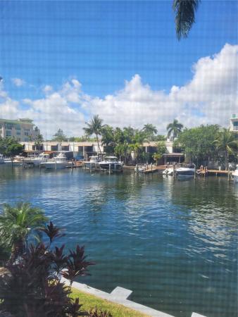 The Oasis, 180 Isle Of Venice Dr #204, Fort Lauderdale, Florida 33301, image 1
