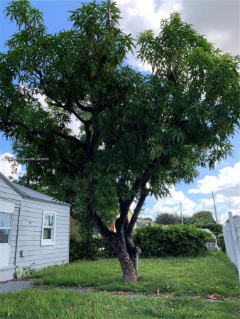 Seventh Avenue Park, 835 NW 63rd St, Miami, Florida 33150, image 2