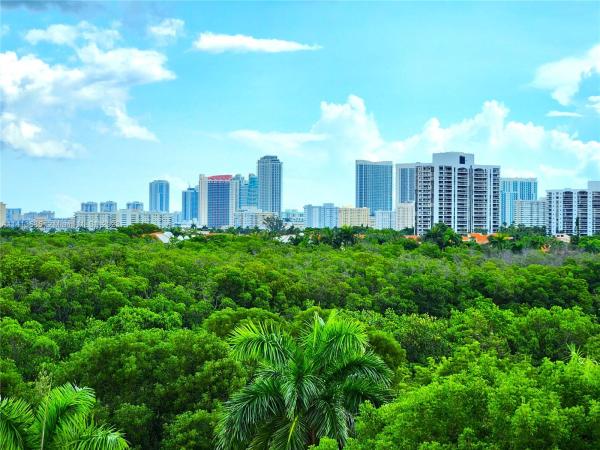 Bravura, 3301 N Country Club Dr #702, Aventura, Florida 33180, image 1