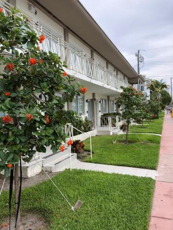 Erika Sobe, Miami Beach, Florida 33139, image 2