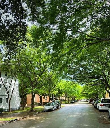 Salzedo Manor, 1110 Salzedo St #1B, Coral Gables, Florida 33134, image 1