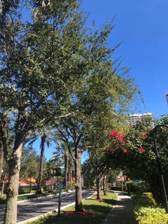 Mystic Pointe Tower 400, 3500 Mystic Pointe Dr #2904, Aventura, Florida 33180, image 2