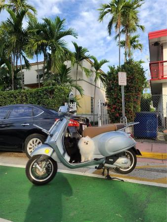 The Norma, 1605 Euclid Ave #B1, Miami Beach, Florida 33139, image 3