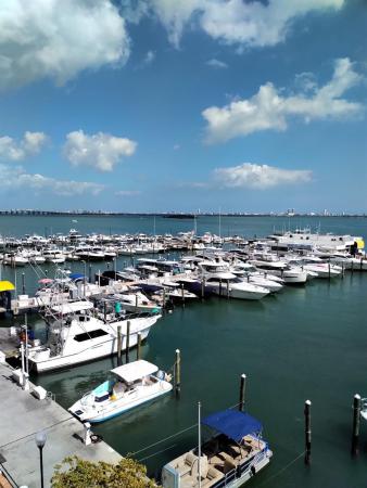 Venetia, 555 NE 15th St #12G, Miami, Florida 33132, image 3
