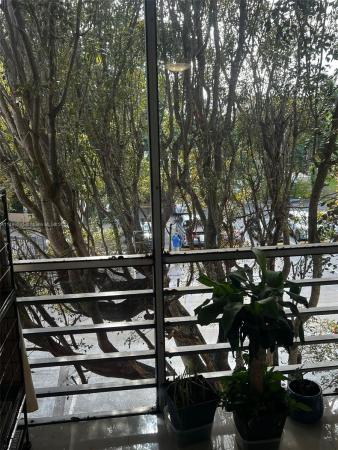 Palmetto Fairway, 15888 SW 95th Ave #324, Palmetto Estates, Florida 33157, image 3